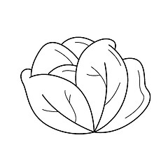 Image showing White cabbage vector line icon.