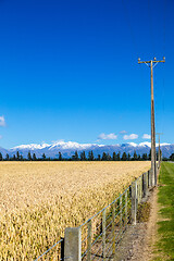 Image showing Mount Taylor and Mount Hutt scenery in south New Zealand