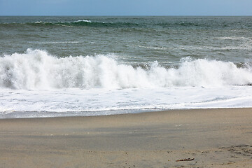 Image showing sand beach south west New Zealand