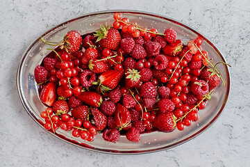 Image showing Fresh summer fruit composition. Strawberries, red currants, raspberries placed on metal tray