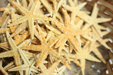 Image showing ocean star backround