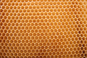 Image showing honey texture