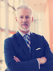 Image showing senior business man portrait