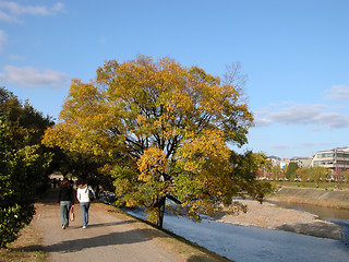 Image showing Fall on the riverside