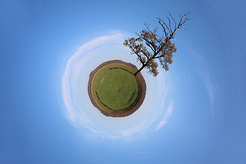 Image showing Stereographic panoramic projection of a green field with an tree