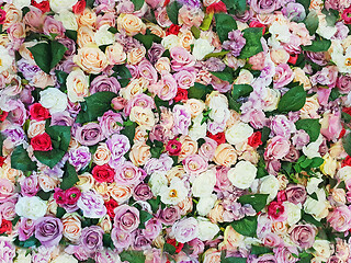 Image showing Colorful artificial roses as a seamless background