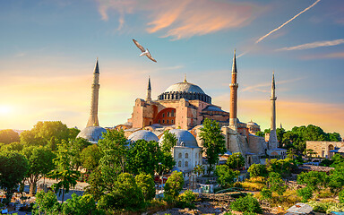 Image showing Bird in Istanbul