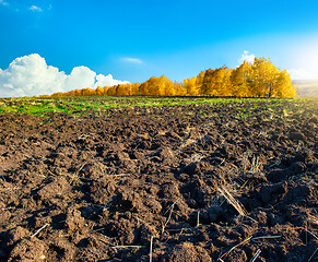 Image showing Plowed farm field