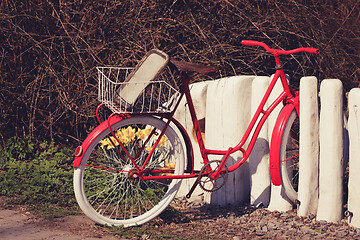 Image showing unroadworthy retro bicycle