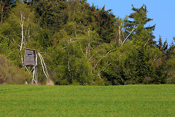 Image showing Wooden Hunters High Seat, hunting tower
