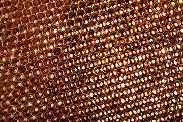 Image showing honey texture