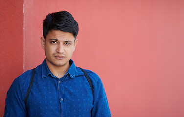 Image showing portrait of casual indian businessman