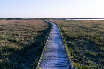 Image showing Wooden footbridge through a wetland