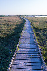 Image showing Boardwalk through the wetlands
