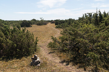 Image showing Stone cairn by a trail in a landscape with junipers