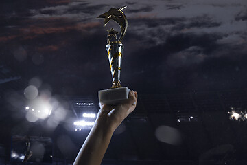 Image showing Award of victory, male hands tightening the cup of winners against cloudy dark sky