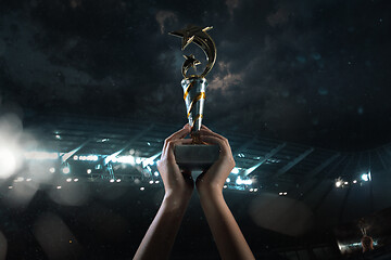 Image showing Award of victory, male hands tightening the cup of winners against cloudy dark sky