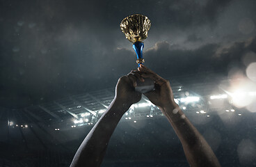 Image showing Award of victory, male hands tightening the cup of winners against cloudy dark sky