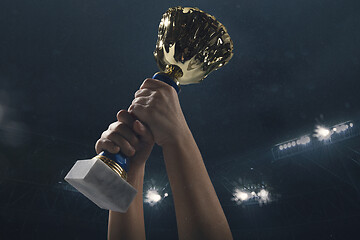 Image showing Award of victory, male hands tightening the cup of winners against cloudy dark sky