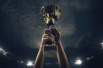 Image showing Award of victory, male hands tightening the cup of winners against cloudy dark sky