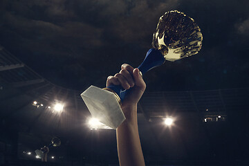 Image showing Award of victory, male hands tightening the cup of winners against cloudy dark sky