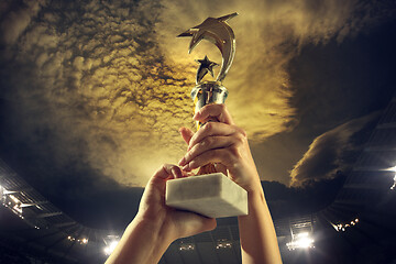 Image showing Award of victory, male hands tightening the cup of winners against cloudy dark sky