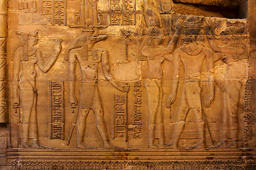 Image showing Hieroglyphic carvings in ancient temple