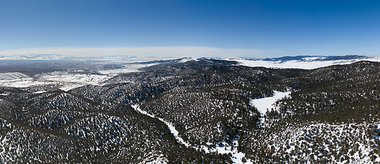 Image showing Atlas mountains snow forest in Morocco