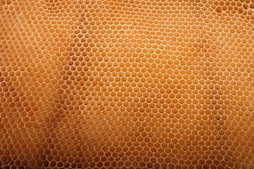 Image showing honey texture