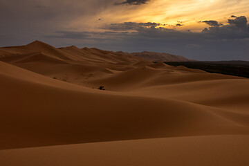 Image showing Sand dunes in Gobi Desert at sunset