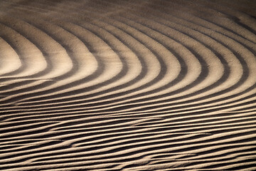 Image showing Wind blowing over sand dunes