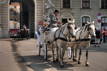 Image showing horses