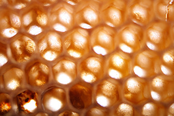 Image showing honey texture