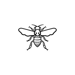 Image showing Bee hand drawn sketch icon.