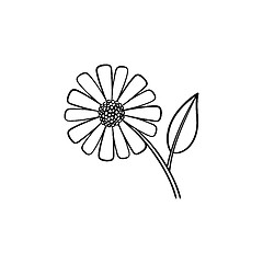 Image showing Daisy flower hand drawn sketch icon.