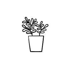 Image showing Ficus in a pot hand drawn sketch icon.