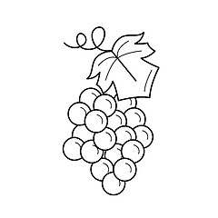 Image showing Bunch of grapes vector line icon.