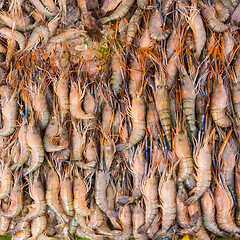 Image showing Shrimps being sold at fish market stall