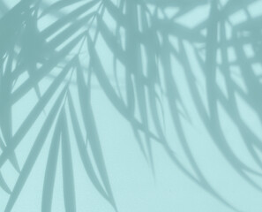 Image showing palm tree shadows