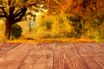 Image showing Wooden boards or desktop against blurred autumn forest landscape on background. Use as mockup for display or montage of your products. Close up