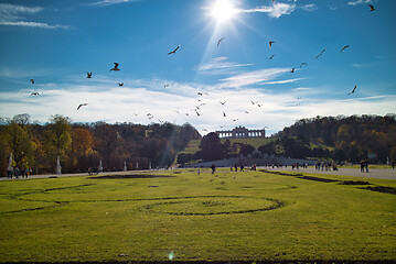 Image showing Beautiful landscape before Schonbrunn Palace in Vienna.