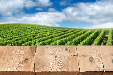 Image showing Wooden boards or table top against blurred vineyard under blue sky on background. Use as template for display or montage of your products. Close up