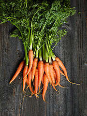 Image showing fresh raw carrots