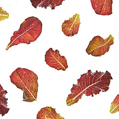 Image showing Colorful leaves pattern of healthy natural organic salad flying against white background.