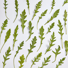 Image showing Plant pattern from green freshly picked natural organic arugula leaves.