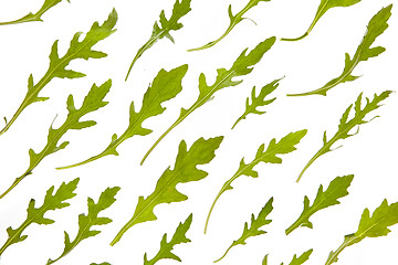 Image showing Green vegetable natural arugula pattern on a white background.