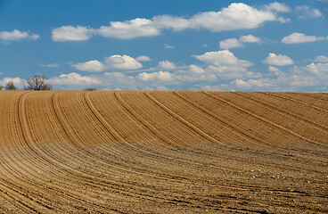 Image showing spring plowed field curves in countryside