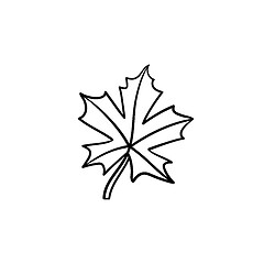 Image showing Maple leaf hand drawn sketch icon.