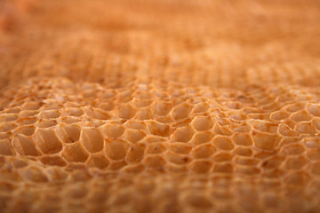 Image showing honey texture