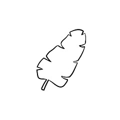 Image showing Tropical palm leaf hand drawn sketch icon.